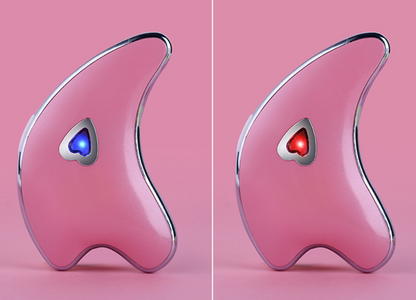 Dolphin VibraThermal Facial Tool