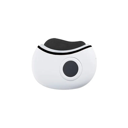 SmartGua Facial Massager